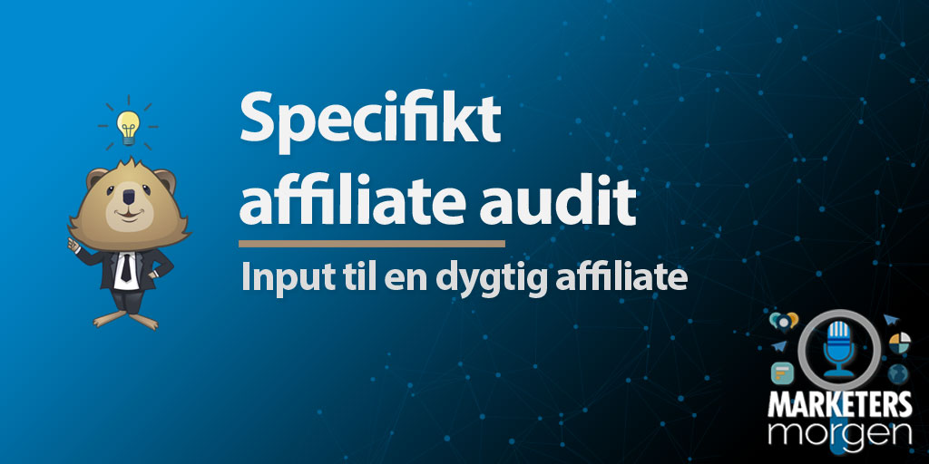 Specifikt affiliate audit
