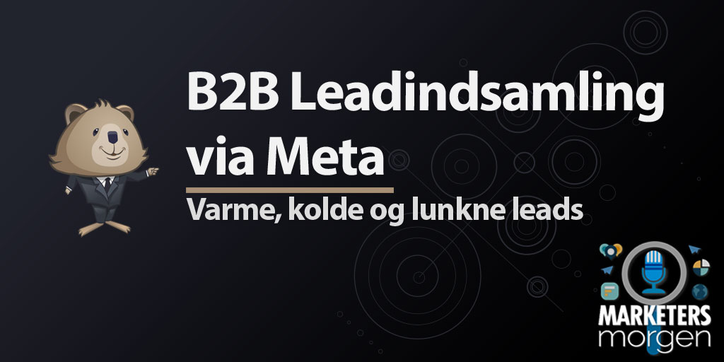 B2B Leadindsamling via Meta