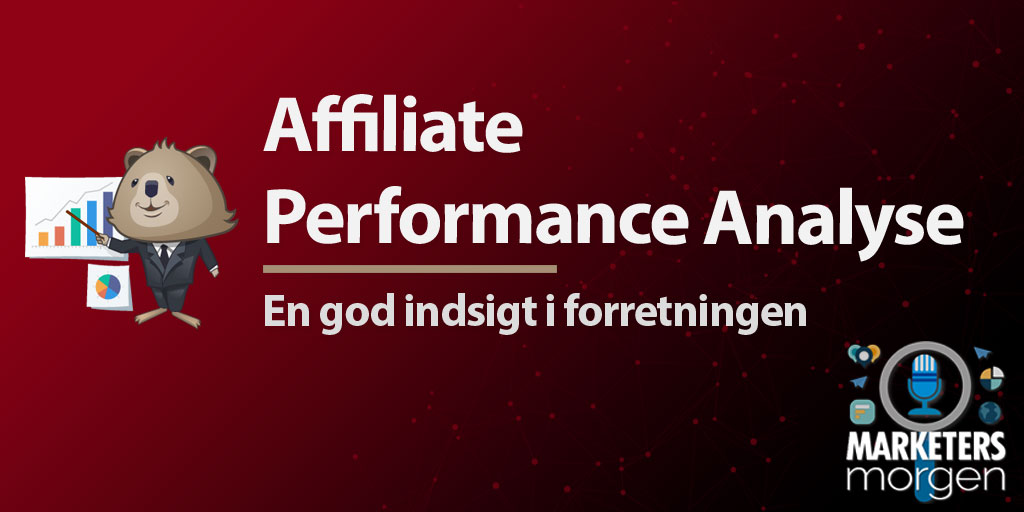 Affiliate Performance Analyse