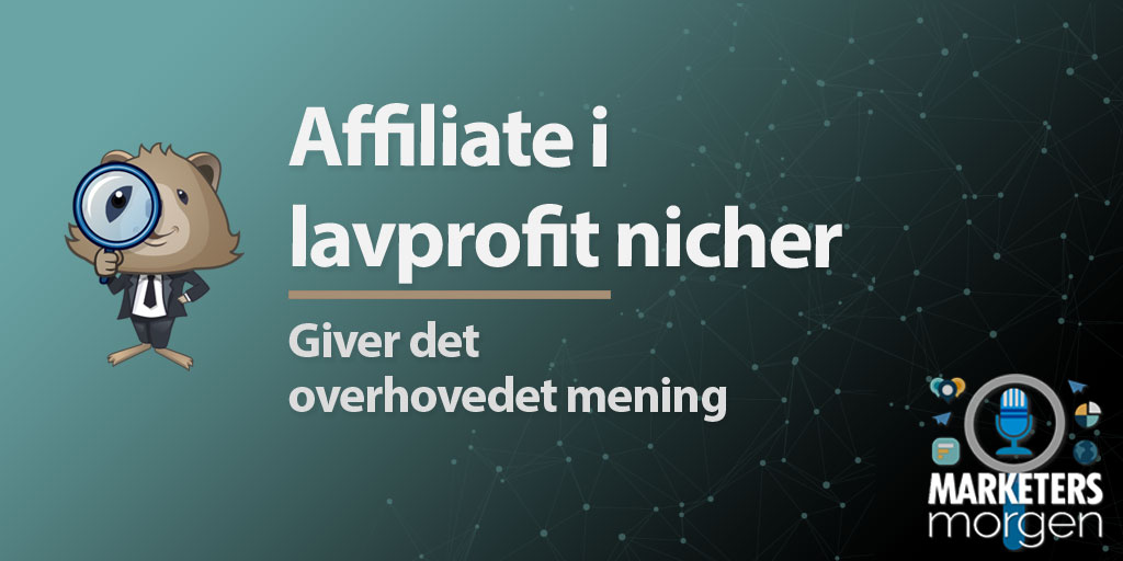 Affiliate i lavprofit nicher