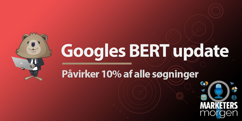 Googles BERT update