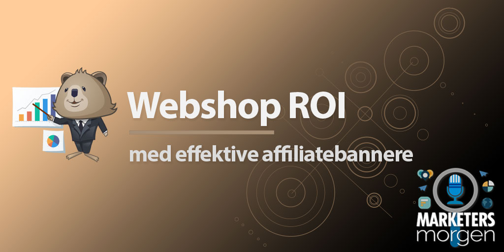 Webshop ROI