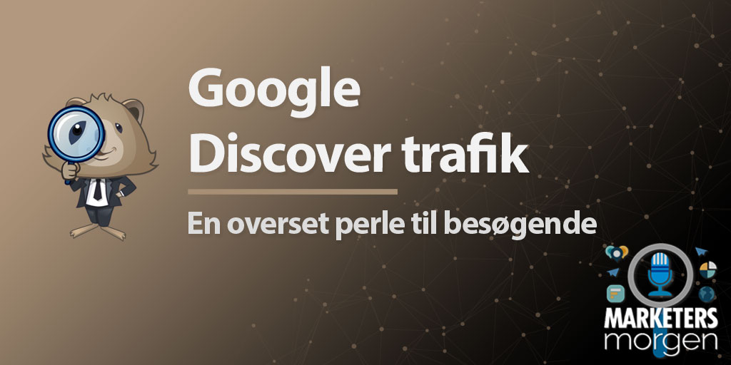 Google Discover trafik