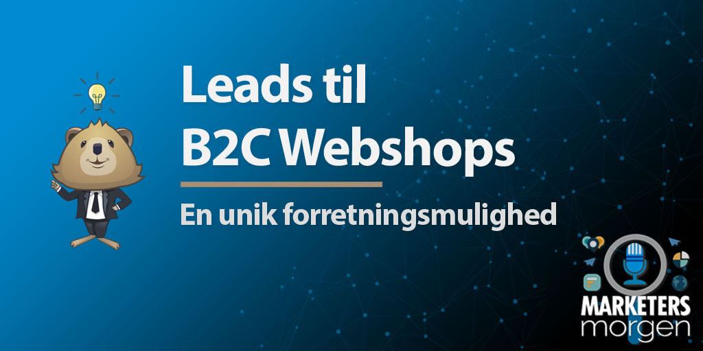 Leads til B2C Webshops