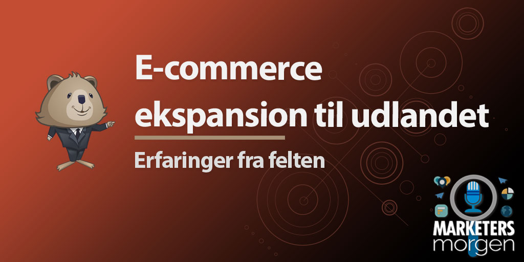 E-commerce ekspansion til udlandet